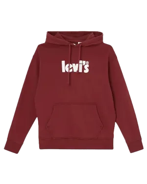 Relaxed Graphic Hoodie in Port